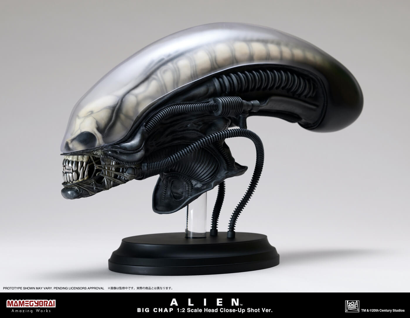 ALIEN BIG CHAP 1/2 SCALE HEAD Close Up Shot Ver.