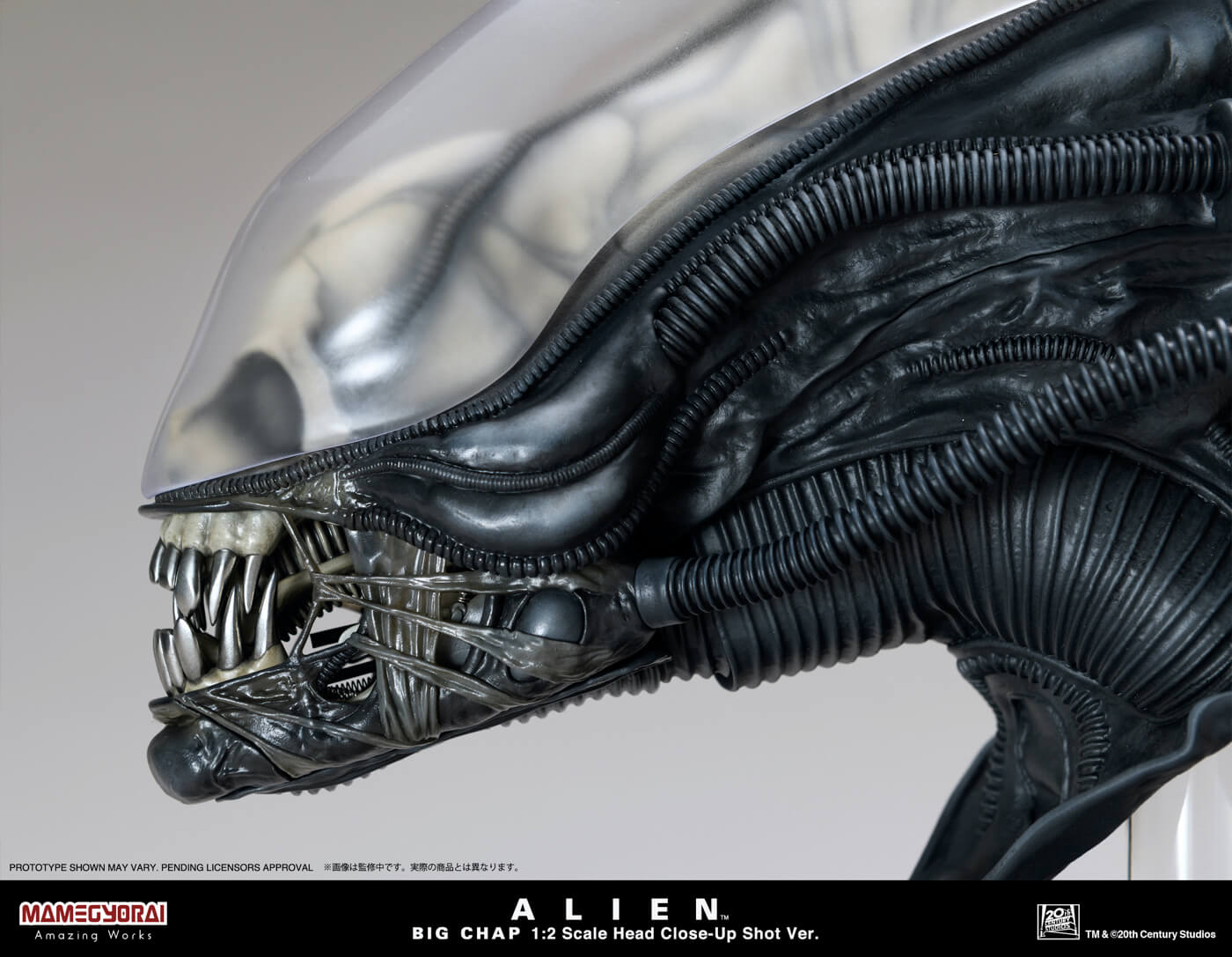 ALIEN BIG CHAP 1/2 SCALE HEAD Close Up Shot Ver.